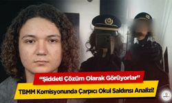 TBMM Komisyonunda Çarpıcı Okul Saldırısı Analizi: “Şiddeti Çözüm Olarak Görüyorlar”