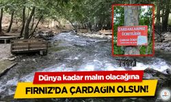 Dünya kadar malın olacağına Fırnız’da çardağın olsun!