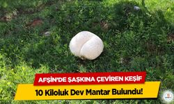 Afşin’de Şaşkına Çeviren Keşif: 10 Kiloluk Dev Mantar Bulundu!