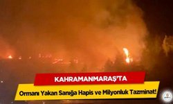 Kahramanmaraş’ta Ormanı Yakan Sanığa Hapis ve Milyonluk Tazminat!