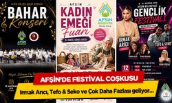 Afşin’de Festival Coşkusu: Irmak Arıcı, Tefo & Seko ve Çok Daha Fazlası geliyor…