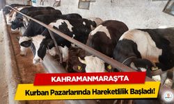 Kahramanmaraş’ta Kurban Pazarlarında Hareketlilik Başladı!