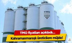 Kahramanmaraşlı üreticilere müjde! TMO fiyatları açıkladı…