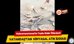 Kahramanmaraş’ta Toplu Balık Ölümleri! Vatandaş’tan kimyasal atık iddiası