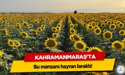 Kahramanmaraş'ta manzara hayran bıraktı!