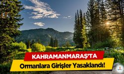 Kahramanmaraş’ta Ormanlara Girişler Yasaklandı!