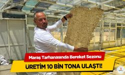 Maraş Tarhanasında Bereket Sezonu: Üretim 10 Bin Tona Ulaştı!