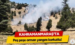 Kahramanmaraş’ta peş peşe orman yangını korkuttu!