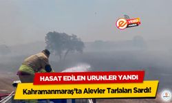 Kahramanmaraş'ta Alevler Tarlaları Sardı! Hasat Edilen Ürünler Yandı