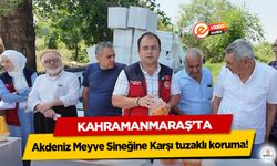 Kahramanmaraş'ta Akdeniz Meyve Sineğine Karşı tuzaklı koruma!