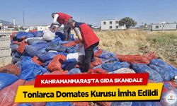 Kahramanmaraş'ta gıda skandalı! Tonlarca Domates Kurusu İmha Edildi