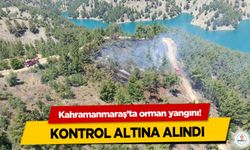 Kahramanmaraş’ta orman yangını!