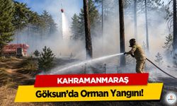 Göksun’da Orman Yangını!