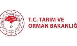 Tarım ve Orman Bakanlığı 1874 Personel Alımı Başvuruları Ne Zaman? Kadro Dağılımı ve Şartlar Belli Oldu!