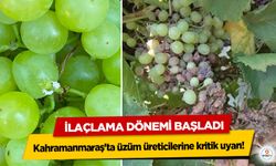 Kahramanmaraş'ta üzüm üreticilerine kritik uyarı! İlaçlama Dönemi Başladı