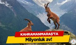 Kahramanmaraş’ta milyonluk av!