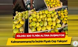 Kahramanmaraş’ta İncirin Fiyatı Cep Yakıyor! Kilosu 300 TL’nin Altına Düşmüyor