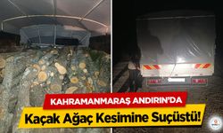 Kahramanmaraş Andırın’da Kaçak Ağaç Kesimine Suçüstü!