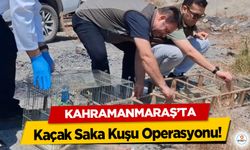 Kahramanmaraş’ta Kaçak Saka Kuşu Operasyonu!