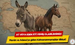 Mersin ve Adana’ya giden Kahramanmaraşlılar dikkat! At veya eşek eti yemiş olabilirsiniz!