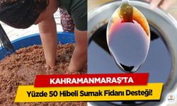 Kahramanmaraş’ta Üreticilere Yüzde 50 Hibeli Sumak Fidanı Desteği!