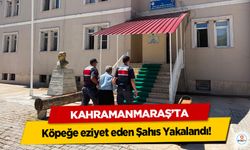 Kahramanmaraş’ta Köpeğe eziyet eden Şahıs Yakalandı!