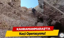 Kahramanmaraş’ta keçi operasyonu!