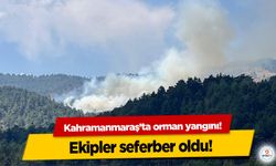 Kahramanmaraş’ta orman yangını!