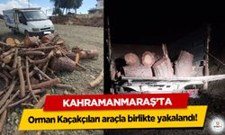 Kahramanmaraş’ta Orman Kaçakçıları araçla birlikte yakalandı!