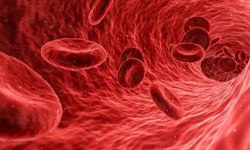 Sepsis Nedir? Basit Bir Enfeksiyon Nasıl Hayati Tehlikeye Dönüşüyor?