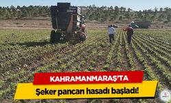 Kahramanmaraş’ta şeker pancarı hasadı başladı!