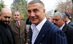Sedat Peker'e hakaretin sonucu acı bitti!