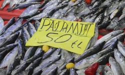 Vatandaş Ucuz Palamuta Sevindi, Balıkçılardan Şaşırtan Çağrı Geldi!