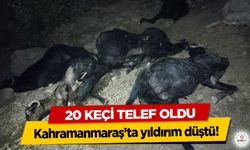 Kahramanmaraş’ta yıldırım düştü! 20 Keçi Telef Oldu