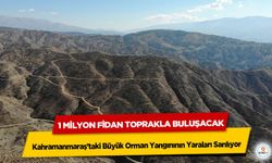 Yanan Orman Sahasında Yaralar Sarılıyor: 1 Milyon Fidan Yeşil Vatana Kazandırılacak!