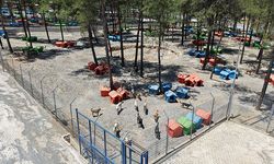 Kahramanmaraş’ta 5 Binin Üzerinde Can Dostuna Güvenli Yaşam Alanı!