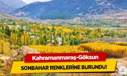 Kahramanmaraş-Göksun Sonbahar Renklerine Büründü!