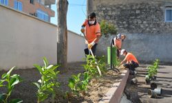 Mersin’de okullara çevre düzenlemesi