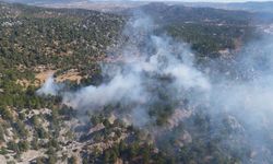 Mersin’de yaklaşık 10 dönüm orman yandı!