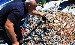 Akdeniz’de balıktan çok çöp çıkıyor