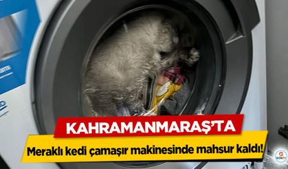 Kahramanmaraş’ta meraklı kedi çamaşır makinesinde mahsur kaldı!