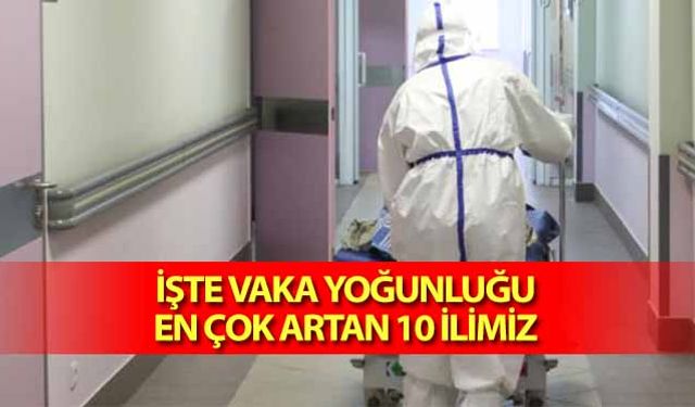 İşte vaka yoğunluğu en çok artan 10 ilimiz