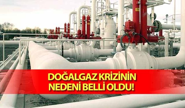 Doğalgaz krizinin nedeni belli oldu! 