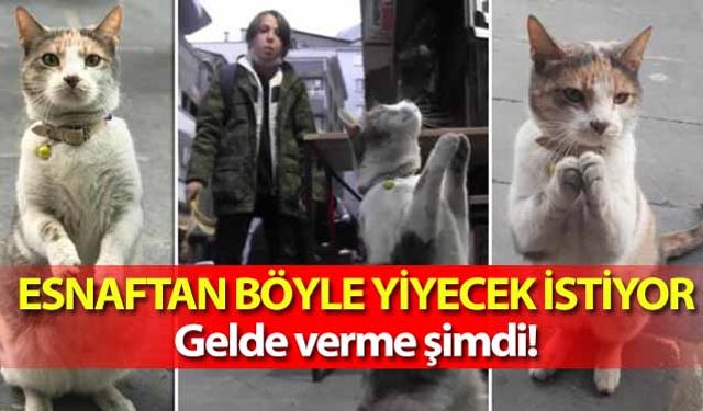 Esnaftan böyle yiyecek istiyor