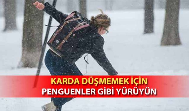 Karda Düşmemek için Penguenler gibi yürüyün