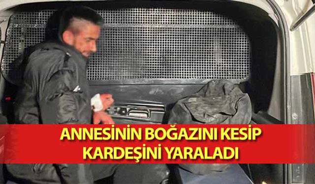 Annesinin boğazını kesip kardeşini yaraladı