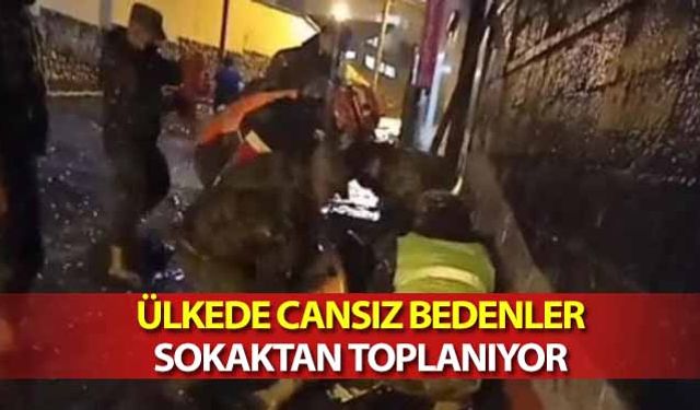 Ülkede Cansız Bedenler Sokaktan Toplanıyor