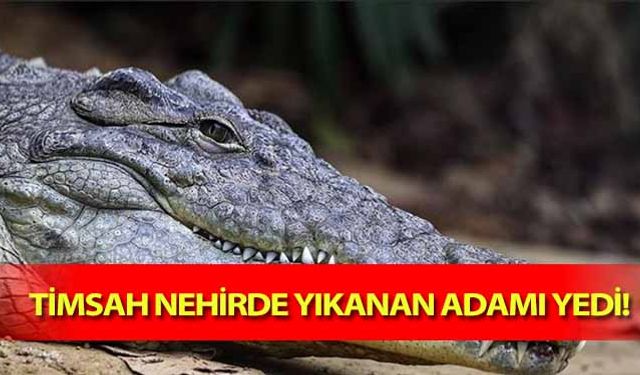 Timsah nehirde yıkanan adamı yedi!