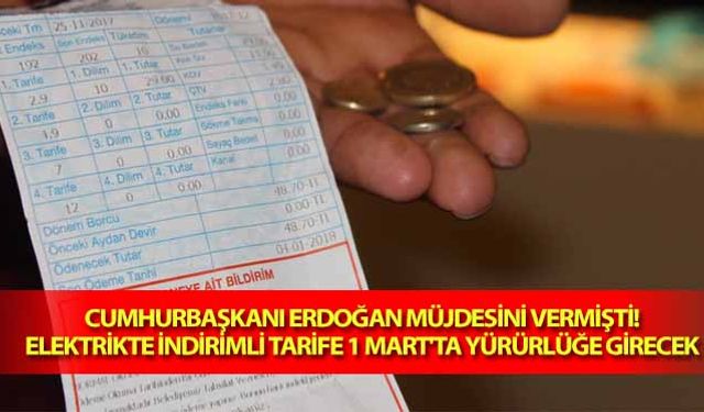 Cumhurbaşkanı Erdoğan müjdesini vermişti! Elektrikte indirimli tarife 1 Mart’ta yürürlüğe girecek