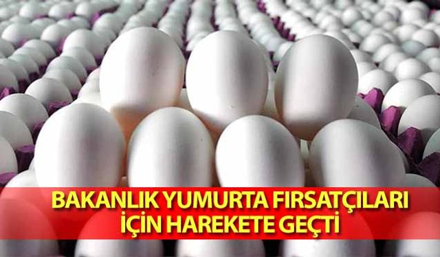 Bakanlık yumurta fırsatçıları için harekete geçti